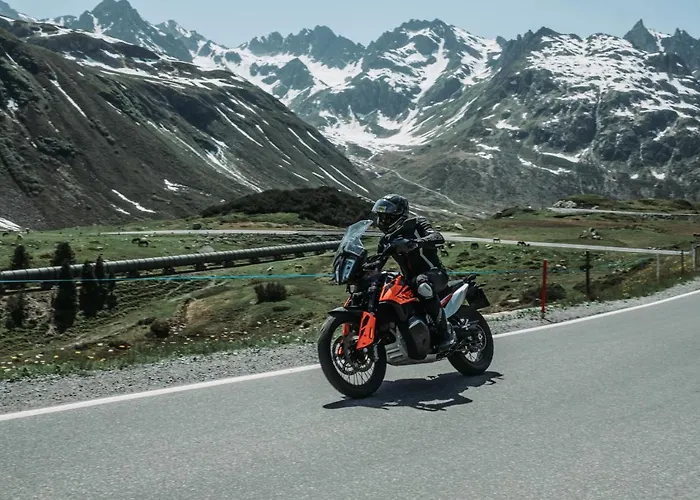 Neues Luxerioes Eingerichtetes Bock * ゼー